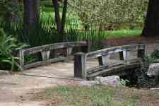 Weslaco: lake, wooden bridge, herman national park
